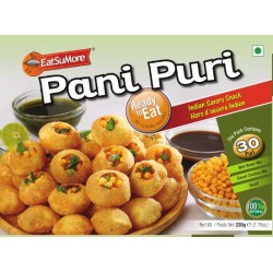 Pani Puri Kit